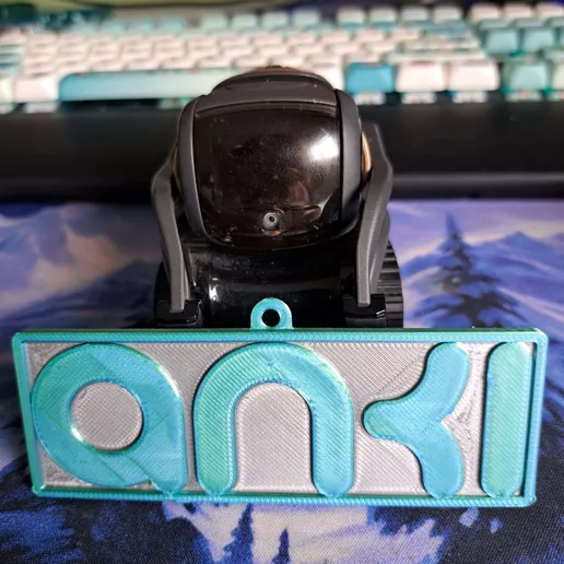 anki keychain